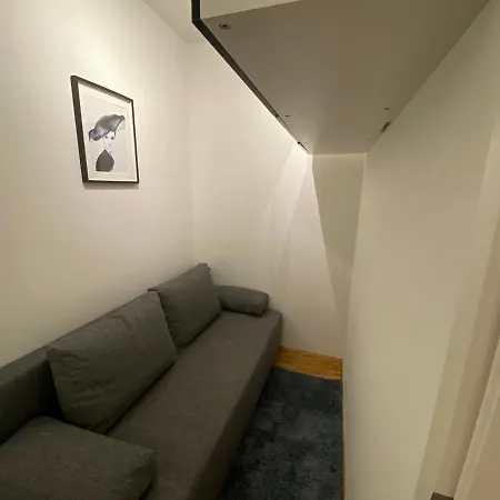 Luxurious And Distinctive New-build In Mainz's Charming Oberstadt District *